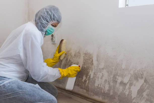 Best Home Mold Removal  in Aurora, TX