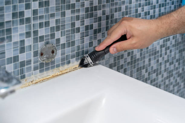 Best Fast Mold Removal  in Aurora, TX