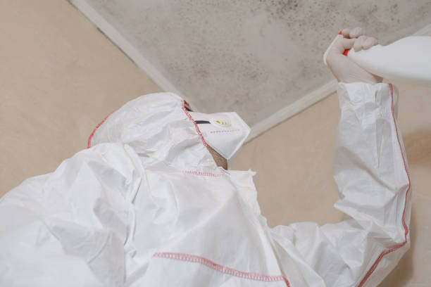 Trusted Aurora, TX Mold Removal Experts